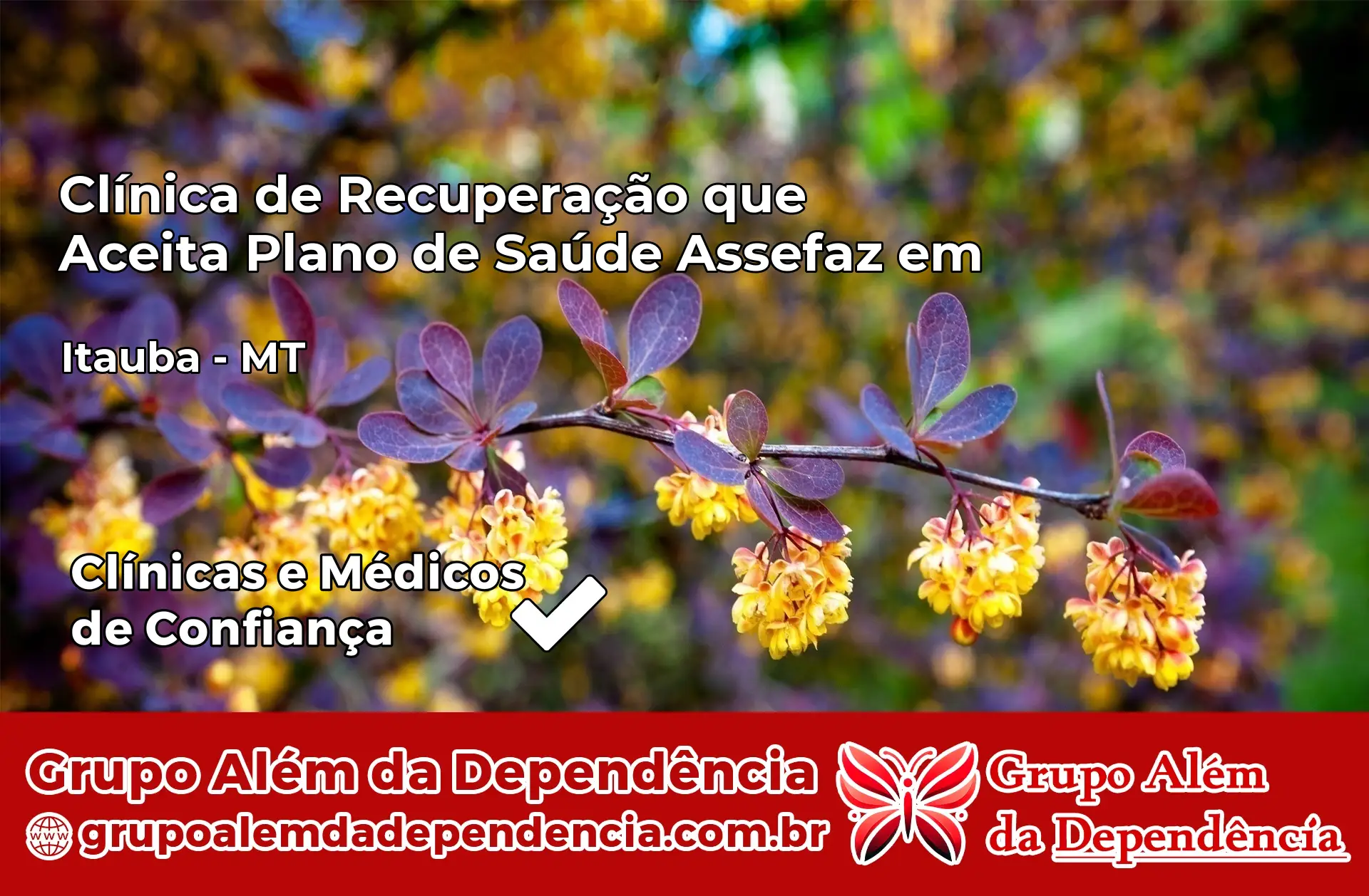 Clínica Assefaz em Itaúba – MT