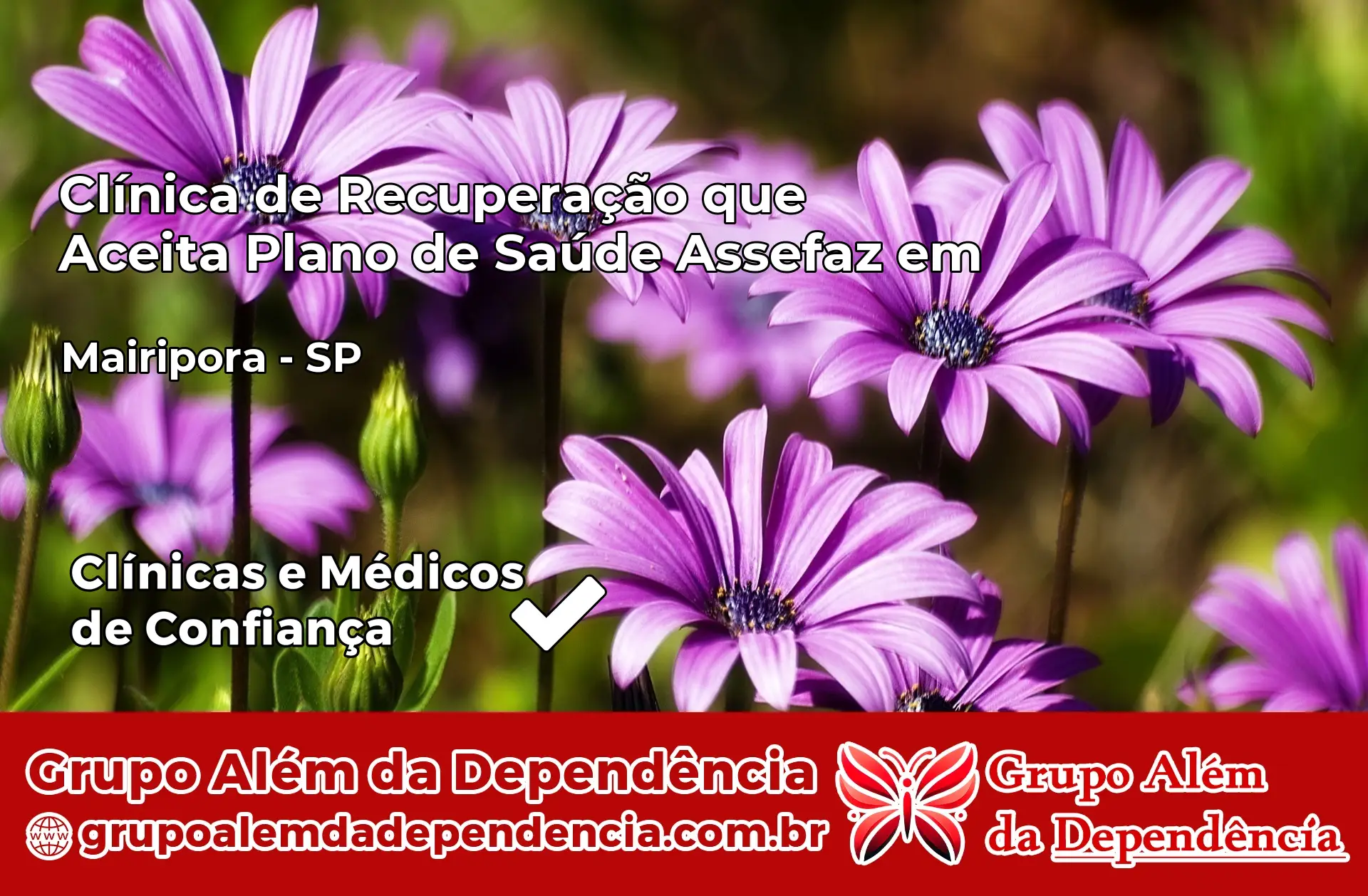 Clínica Assefaz em Mairiporã – SP
