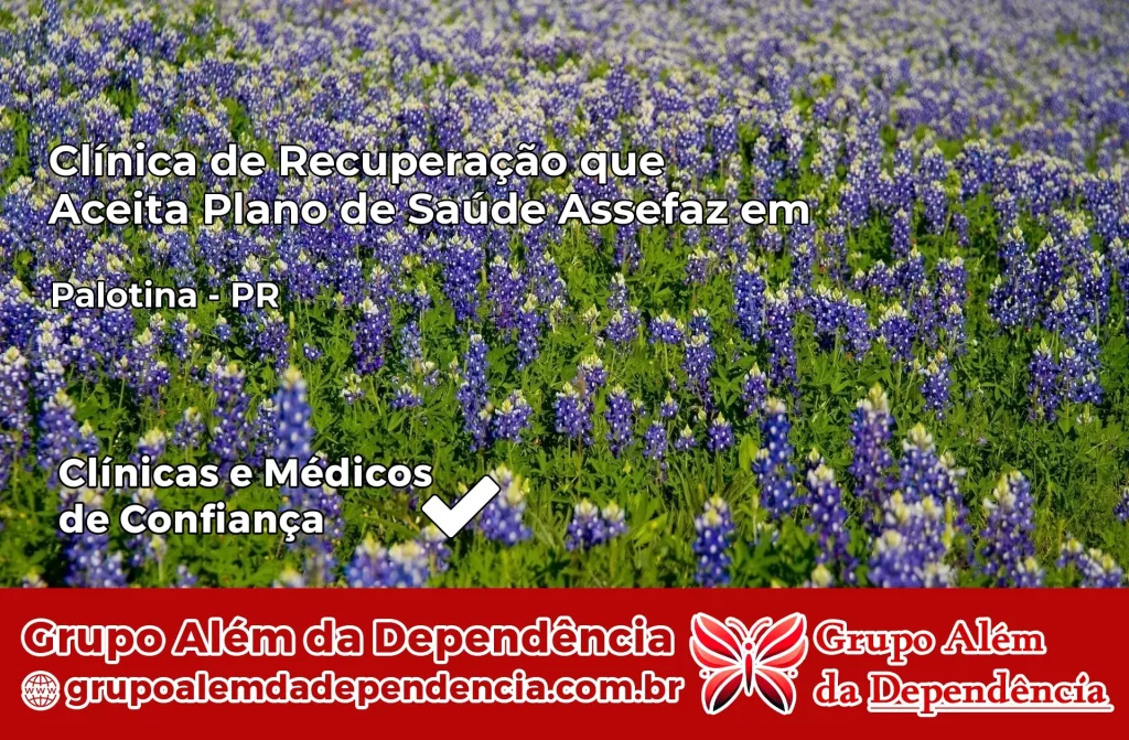 Clínica de Recuperação que Aceita Plano de Saúde Assefaz em Palotina – PR 1 Clínica Assefaz em Palotina – PR