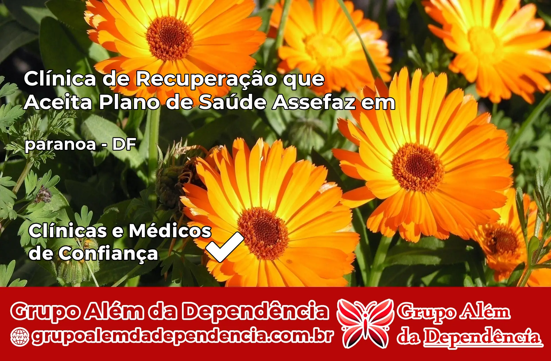 Clínica Assefaz em paranoa – DF
