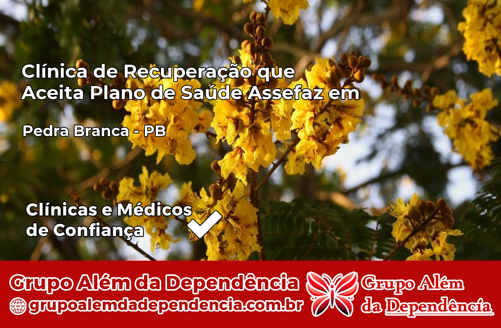 Clínica Assefaz em Pedra Branca – PB
