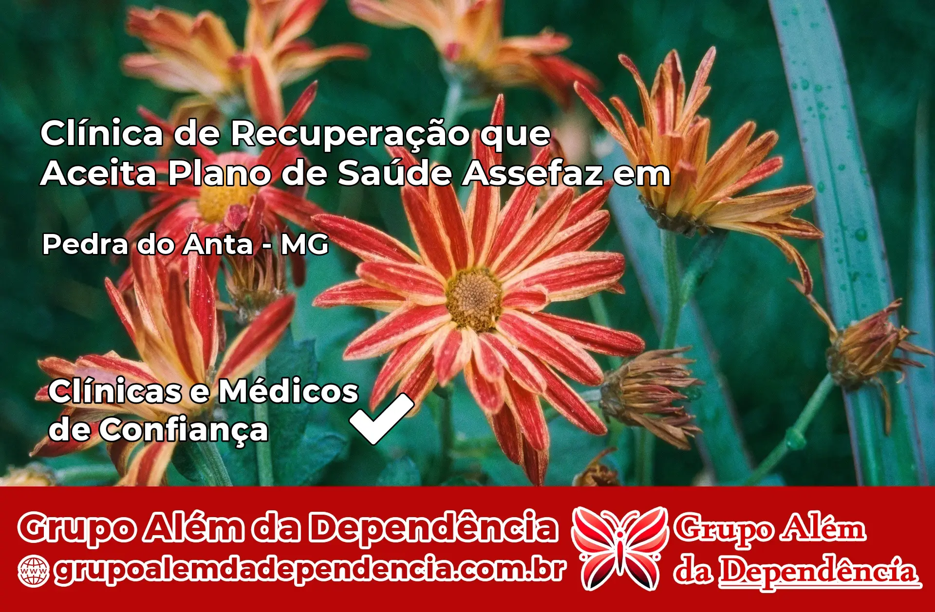 Clínica Assefaz em Pedra do Anta – MG