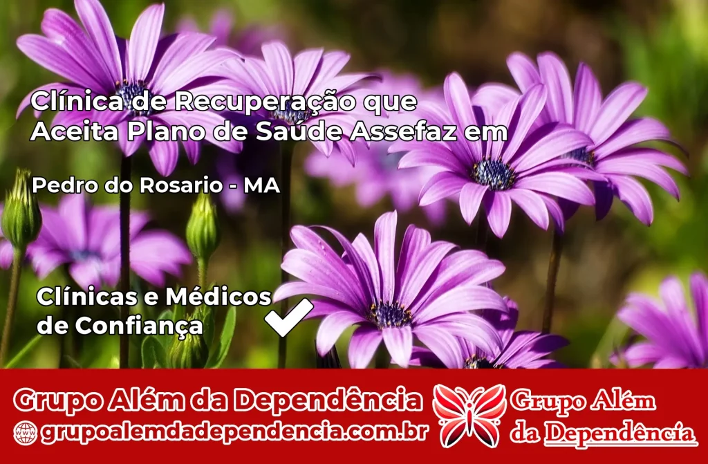 Clínica de Recuperação que Aceita Plano de Saúde Assefaz em Pedro do Rosário – MA 1 Clínica Assefaz em Pedro do Rosário – MA