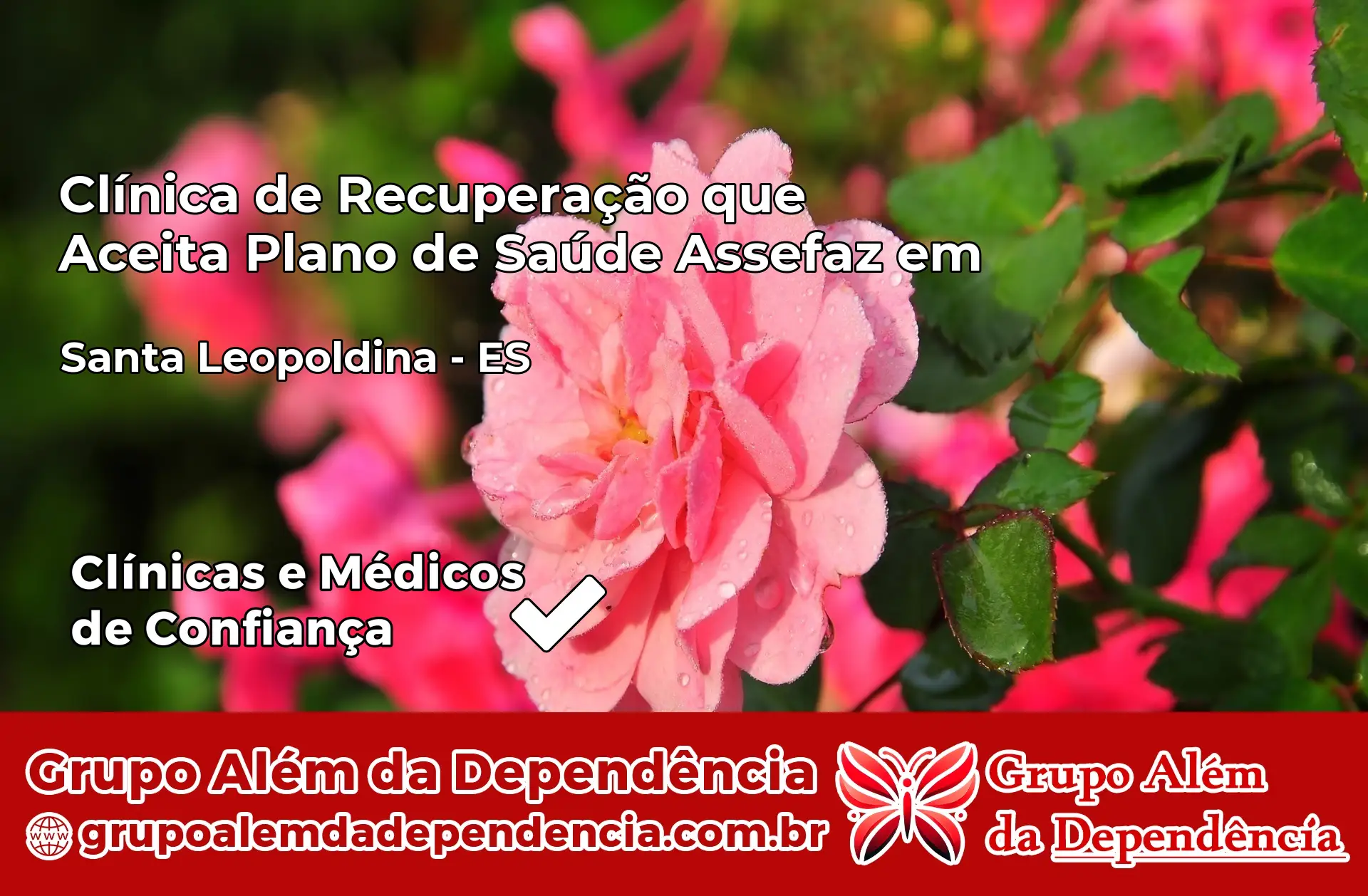 Clínica Assefaz em Santa Leopoldina – ES