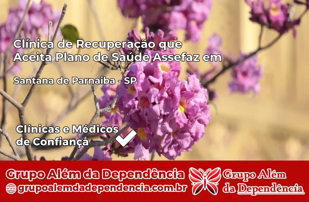 Clínica de Recuperação que Aceita Plano de Saúde Assefaz em Santana de Parnaíba – SP 1 Clínica Assefaz em Santana de Parnaíba – SP