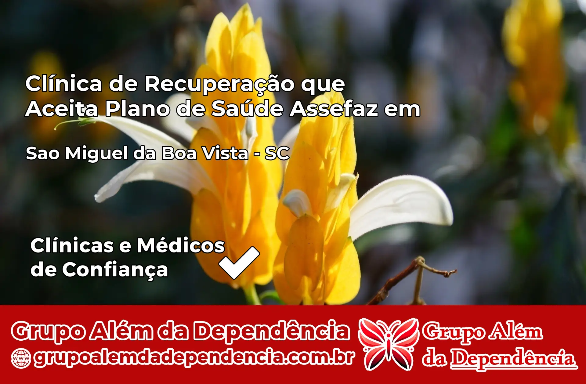 Clínica Assefaz em São Miguel da Boa Vista – SC