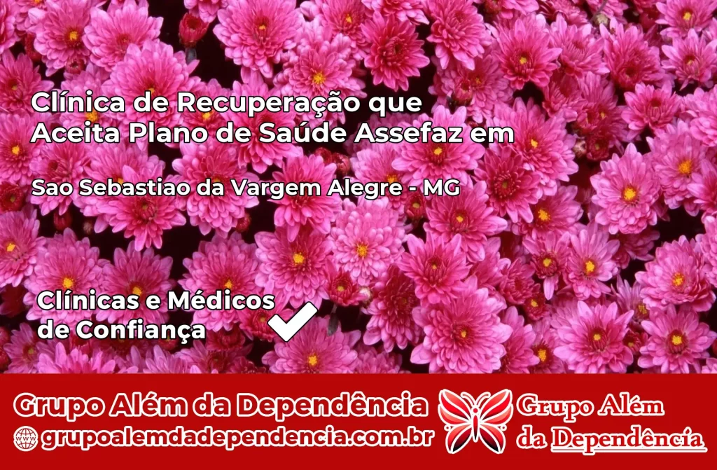 Clínica de Recuperação que Aceita Plano de Saúde Assefaz em São Sebastião da Vargem Alegre – MG 1 Clínica Assefaz em São Sebastião da Vargem Alegre – MG