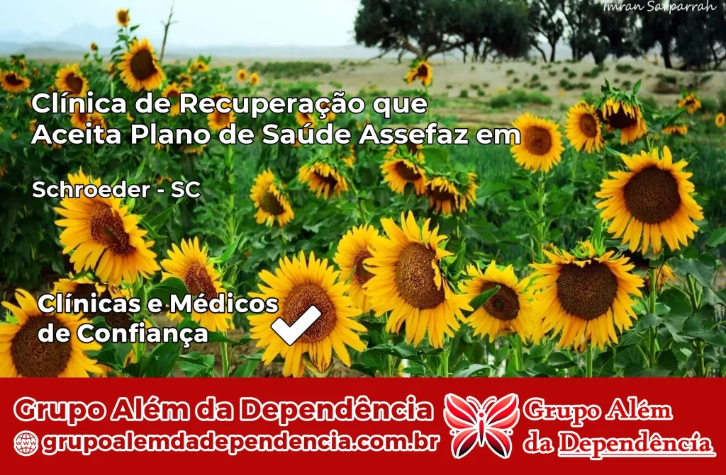 Clínica de Recuperação que Aceita Plano de Saúde Assefaz em Schroeder – SC 1 Clínica Assefaz em Schroeder – SC