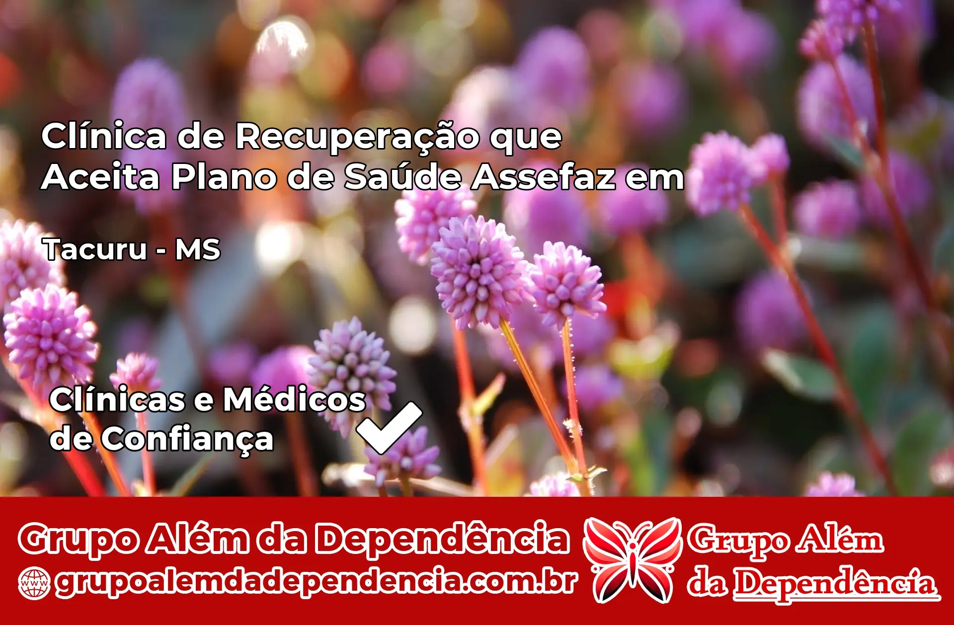 Clínica Assefaz em Tacuru – MS