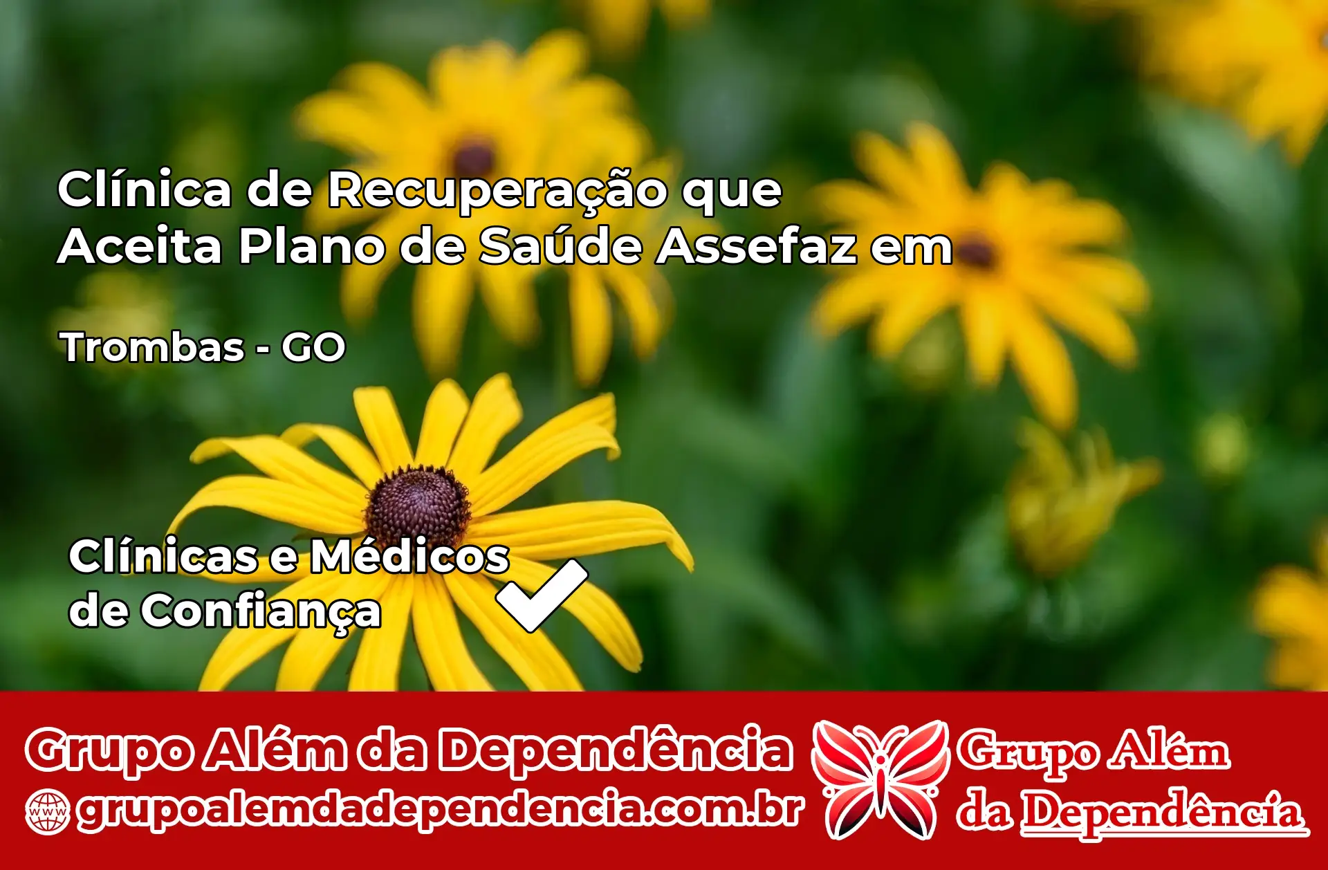 Clínica Assefaz em Trombas – GO