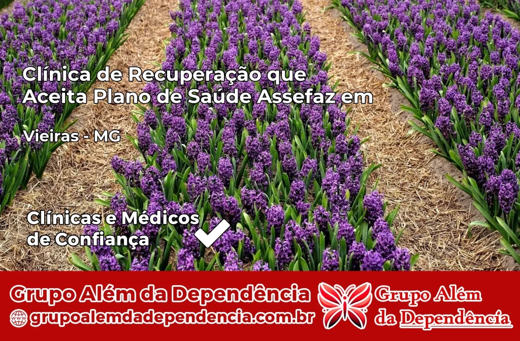 Clínica de Recuperação que Aceita Plano de Saúde Assefaz em Vieiras – MG 1 Clínica Assefaz em Vieiras – MG