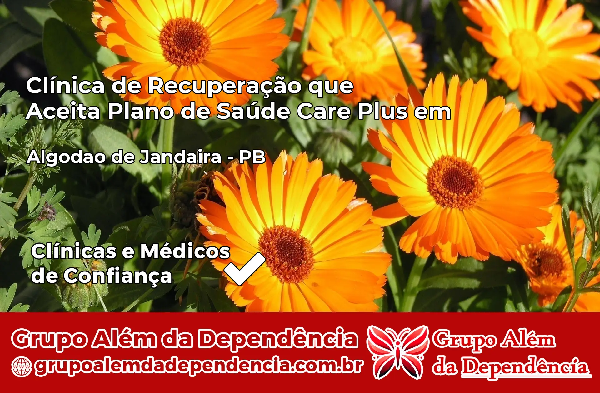 Clínica Care Plus em Algodão de Jandaíra – PB