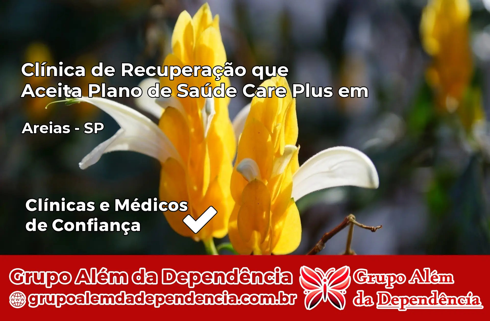 Clínica Care Plus em Areias – SP