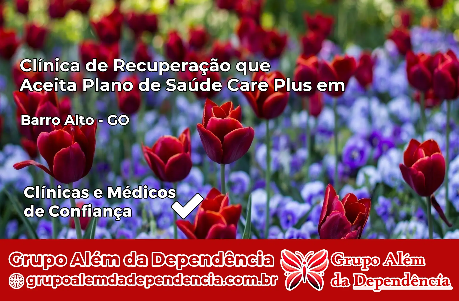 Clínica Care Plus em Barro Alto – GO