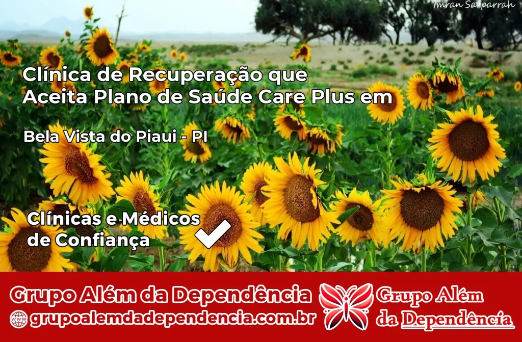 Clínica de Recuperação que Aceita Plano de Saúde Care Plus em Bela Vista do Piauí – PI 1 Clínica Care Plus em Bela Vista do Piauí – PI