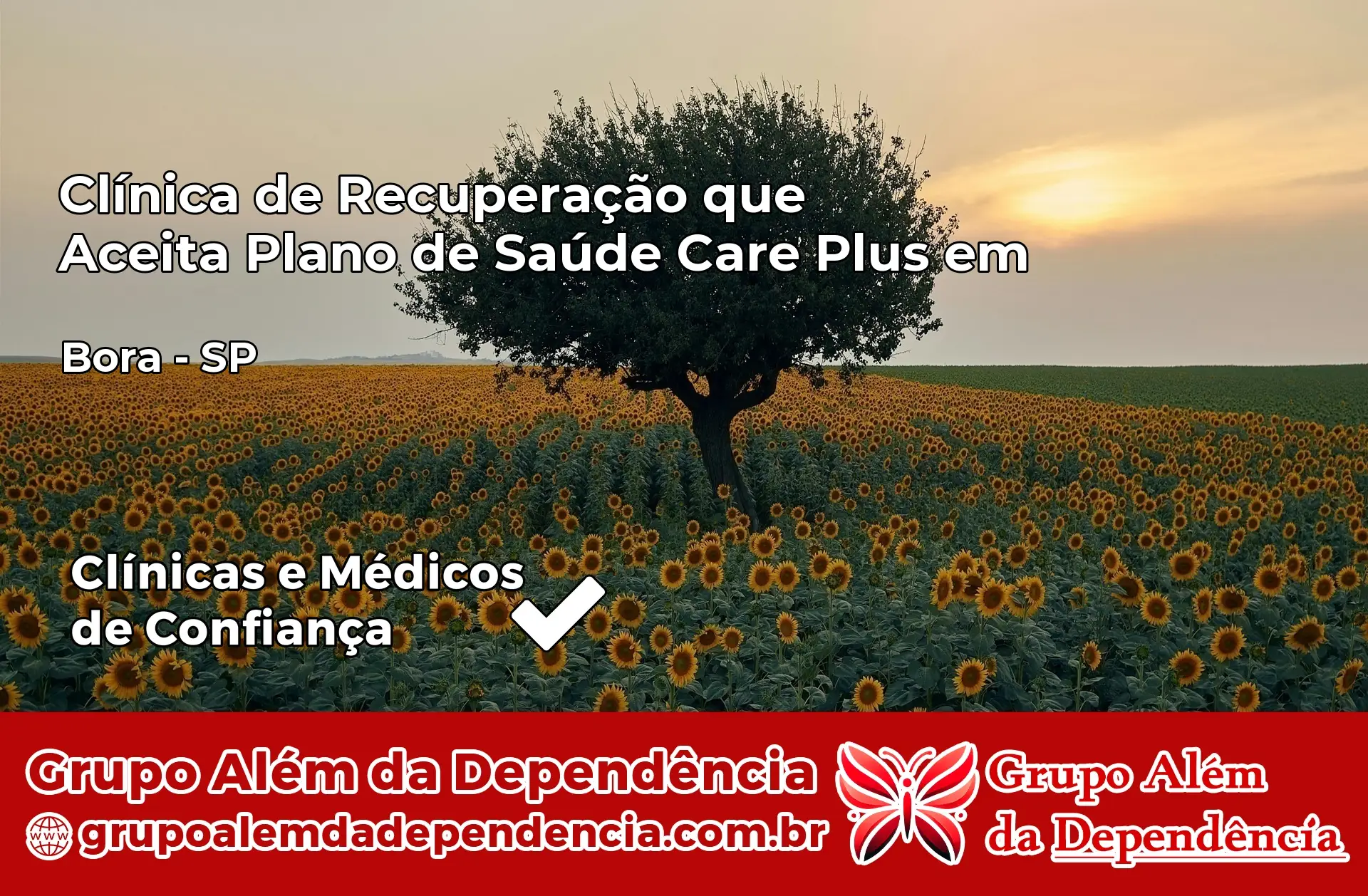 Clínica Care Plus em Borá – SP