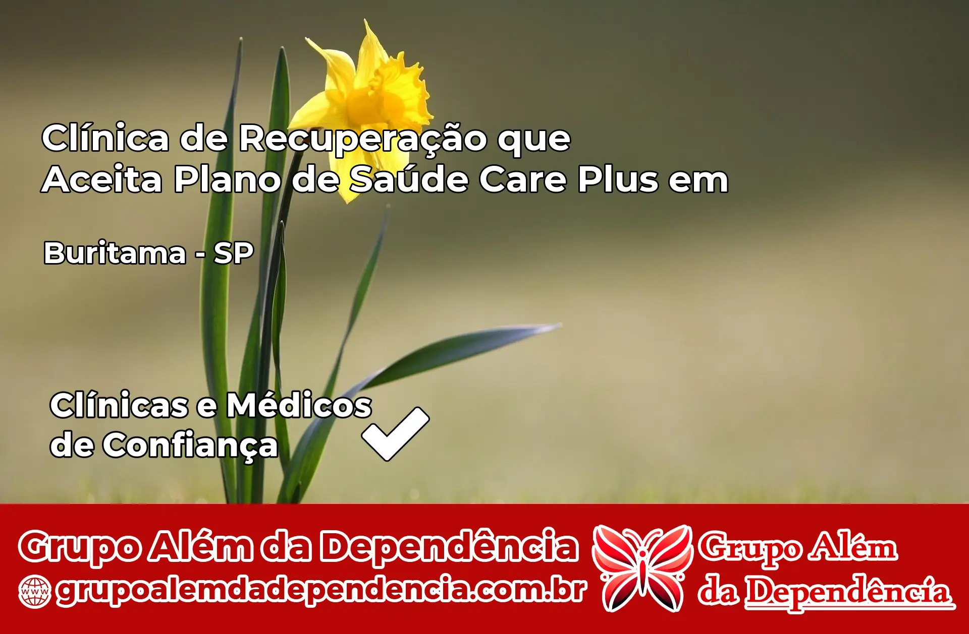 Clínica Care Plus em Buritama – SP