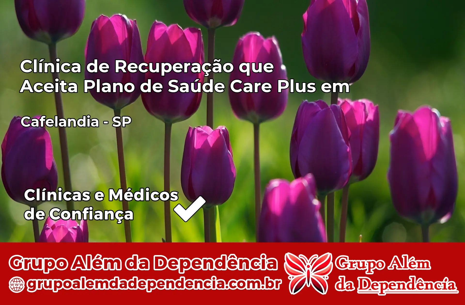 Clínica Care Plus em Cafelândia – SP