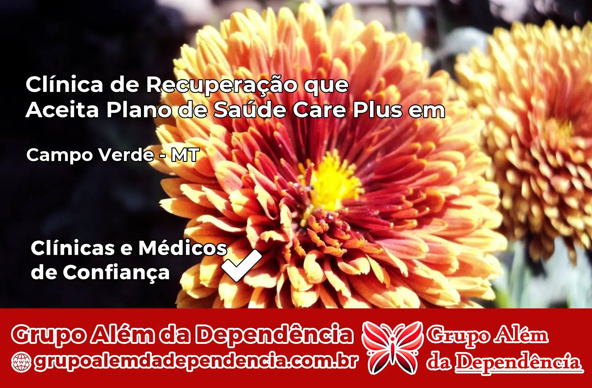 Clínica Care Plus em Campo Verde – MT
