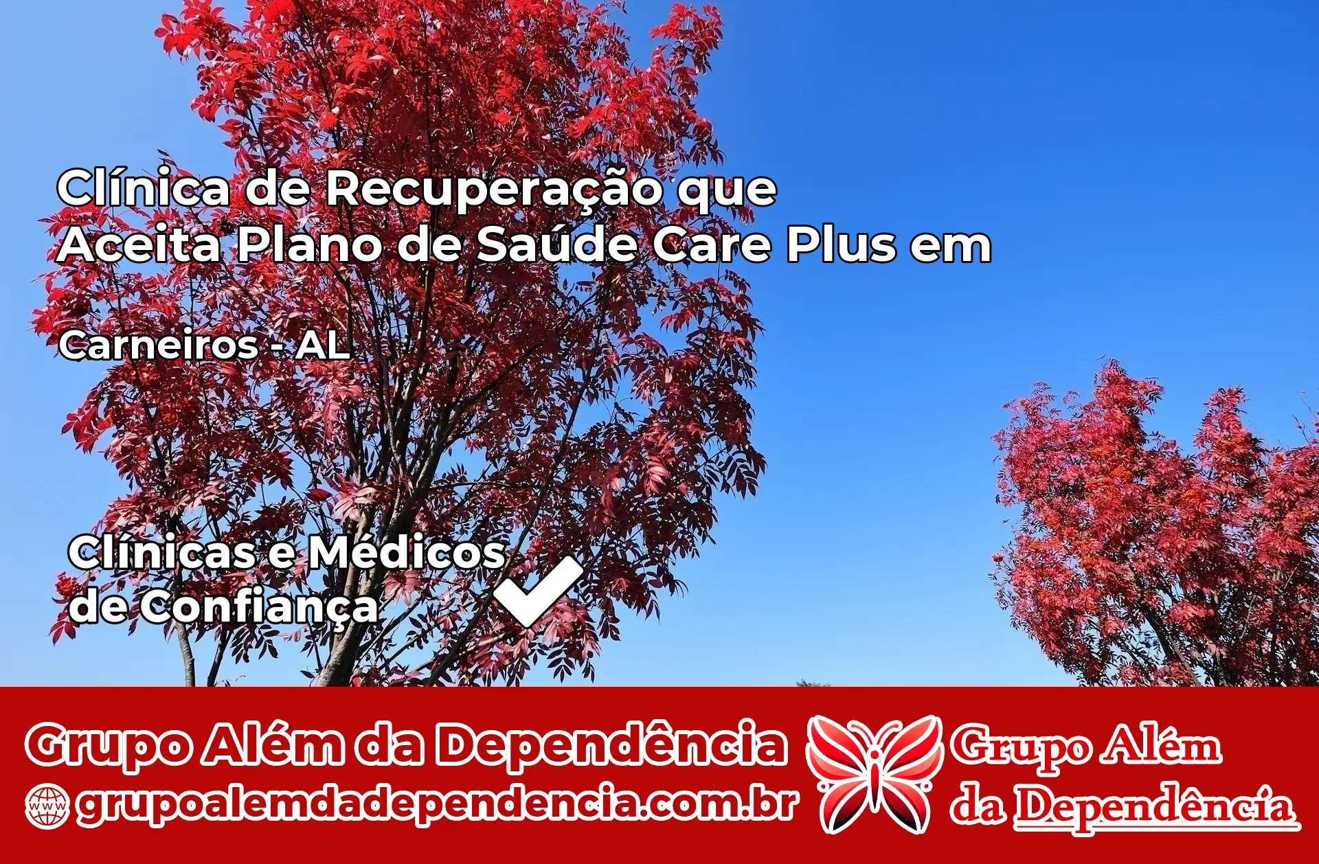 Clínica Care Plus em Carneiros – AL