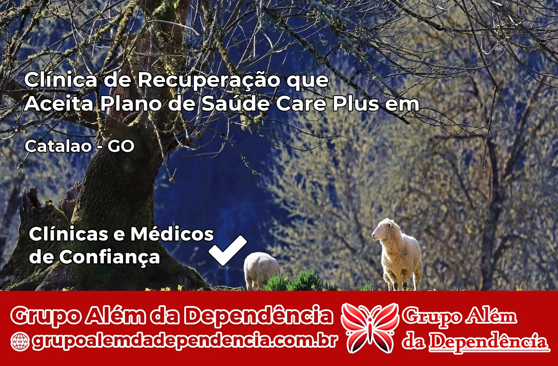 Clínica Care Plus em Catalão – GO