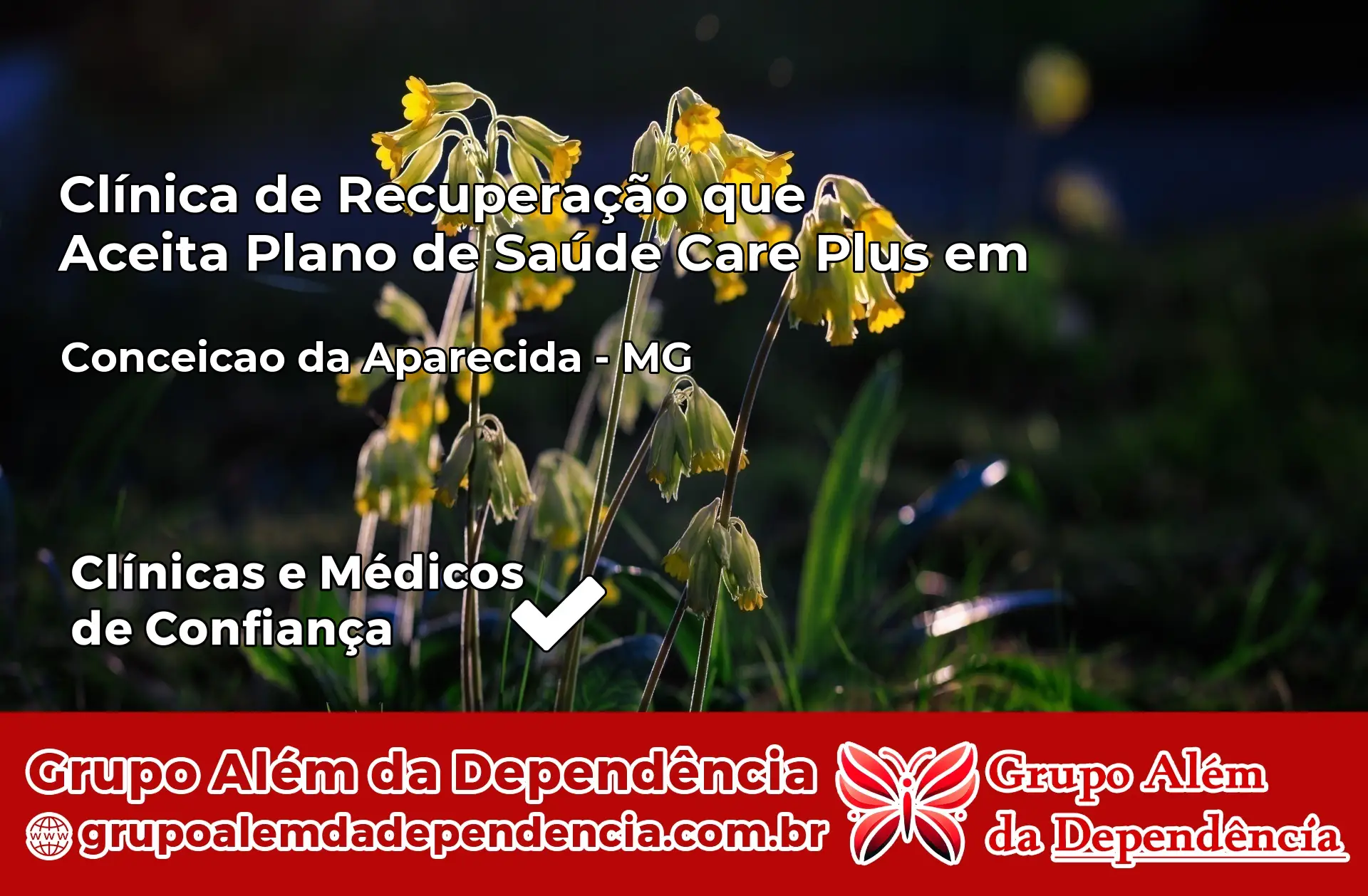Clínica Care Plus em Conceição da Aparecida – MG