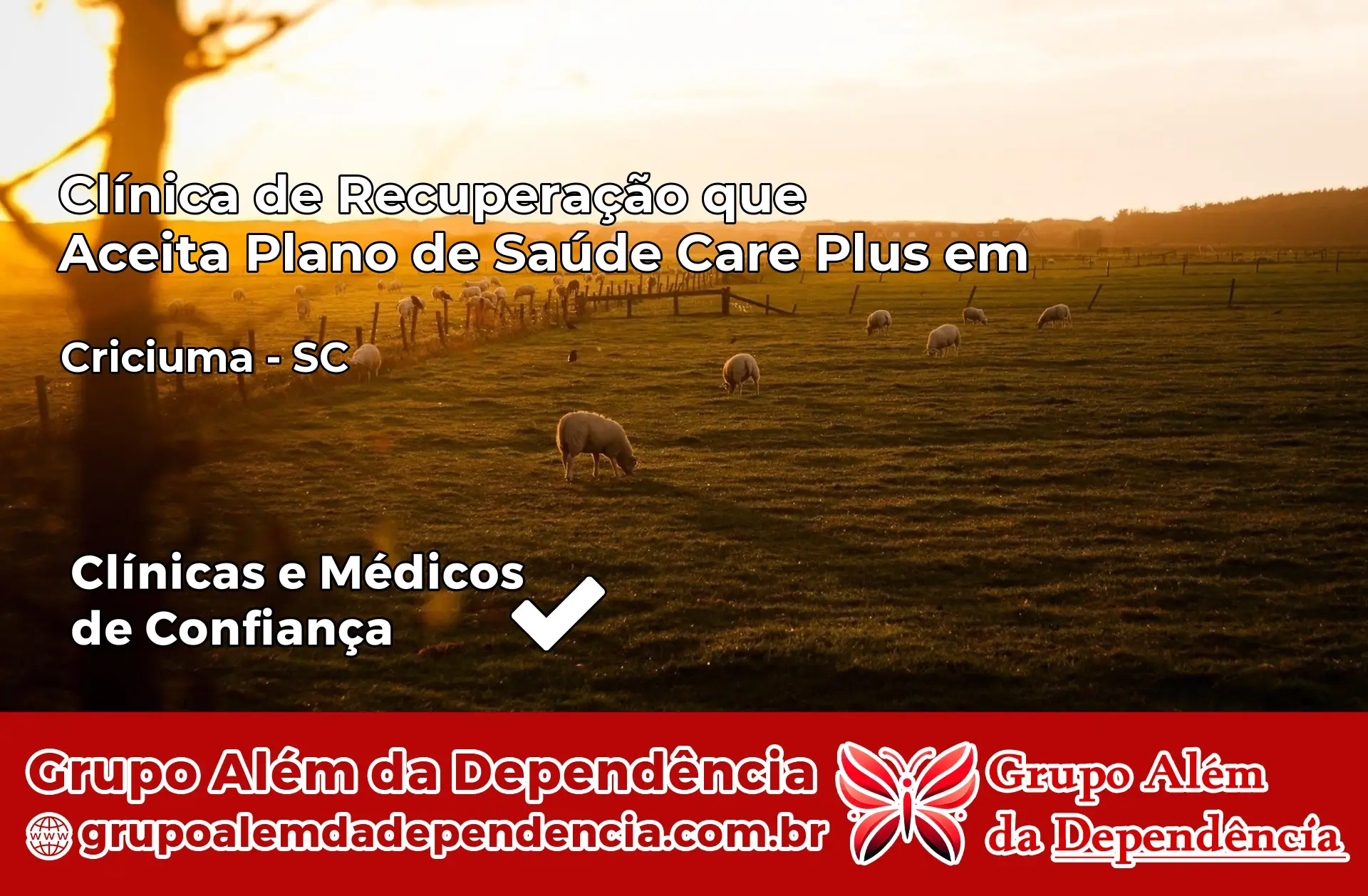 Clínica Care Plus em Criciúma – SC