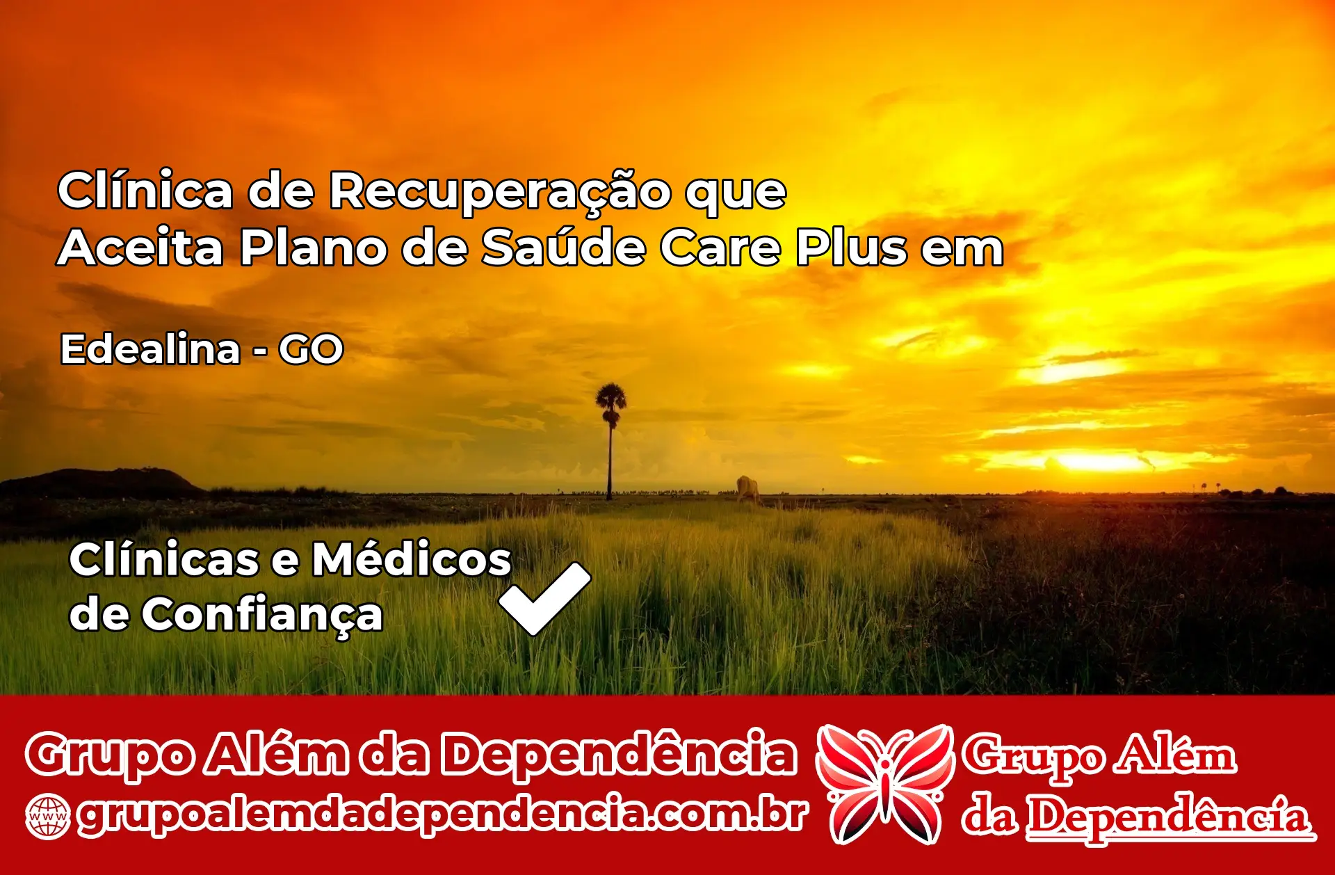 Clínica Care Plus em Edealina – GO