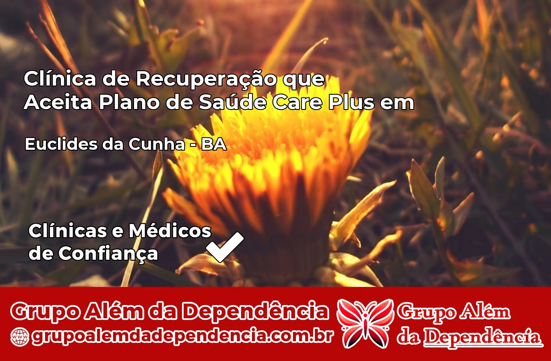 Clínica Care Plus em Euclides da Cunha – BA