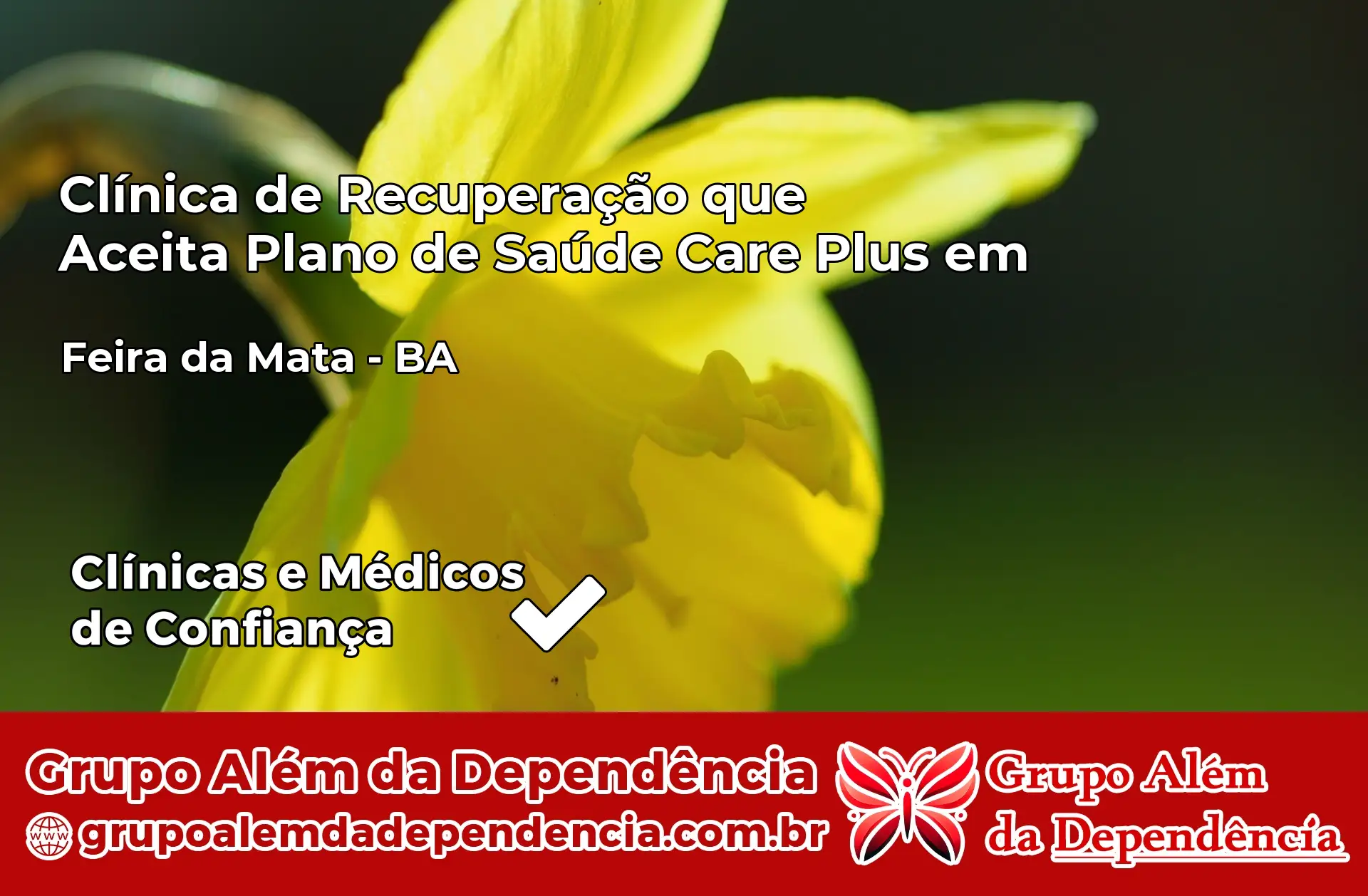 Clínica Care Plus em Feira da Mata – BA