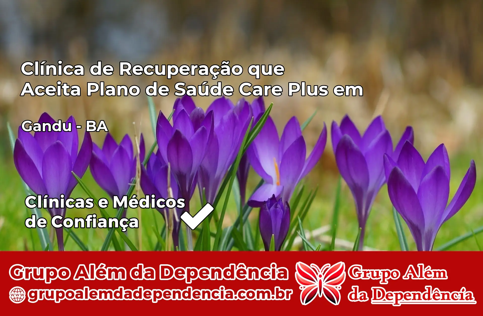 Clínica Care Plus em Gandu – BA