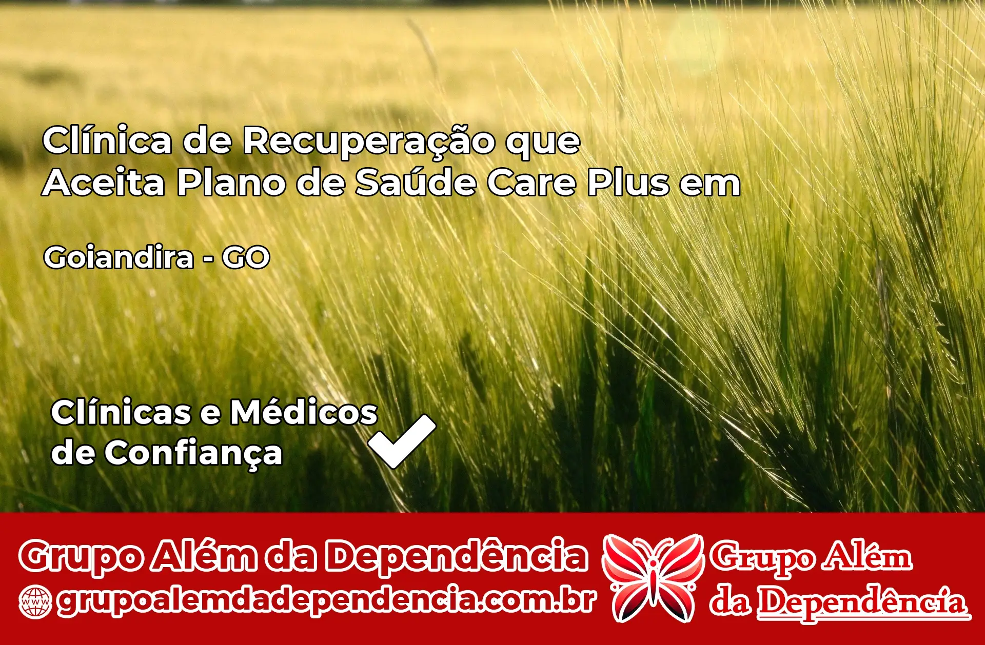 Clínica Care Plus em Goiandira – GO
