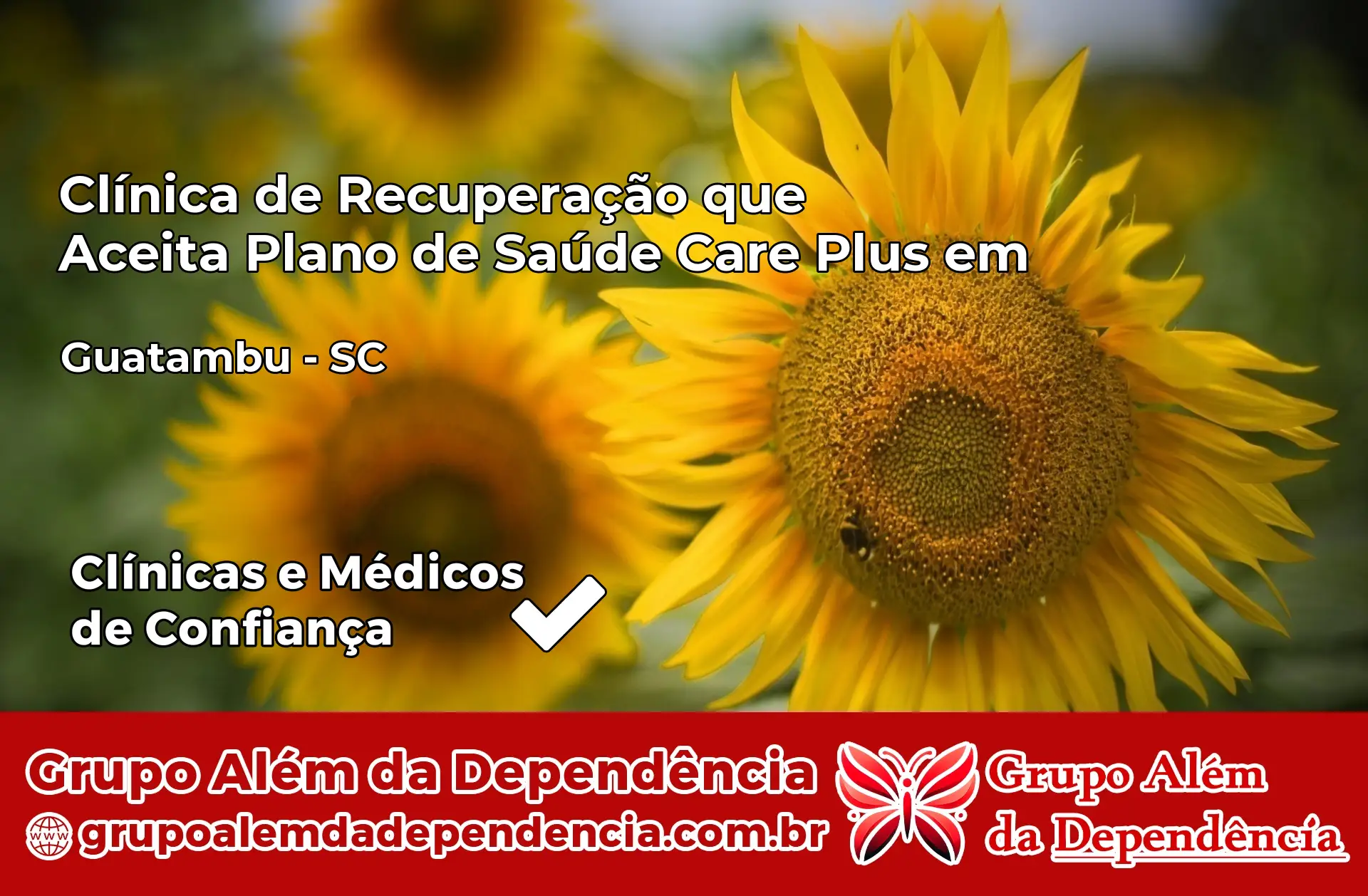 Clínica Care Plus em Guatambú – SC