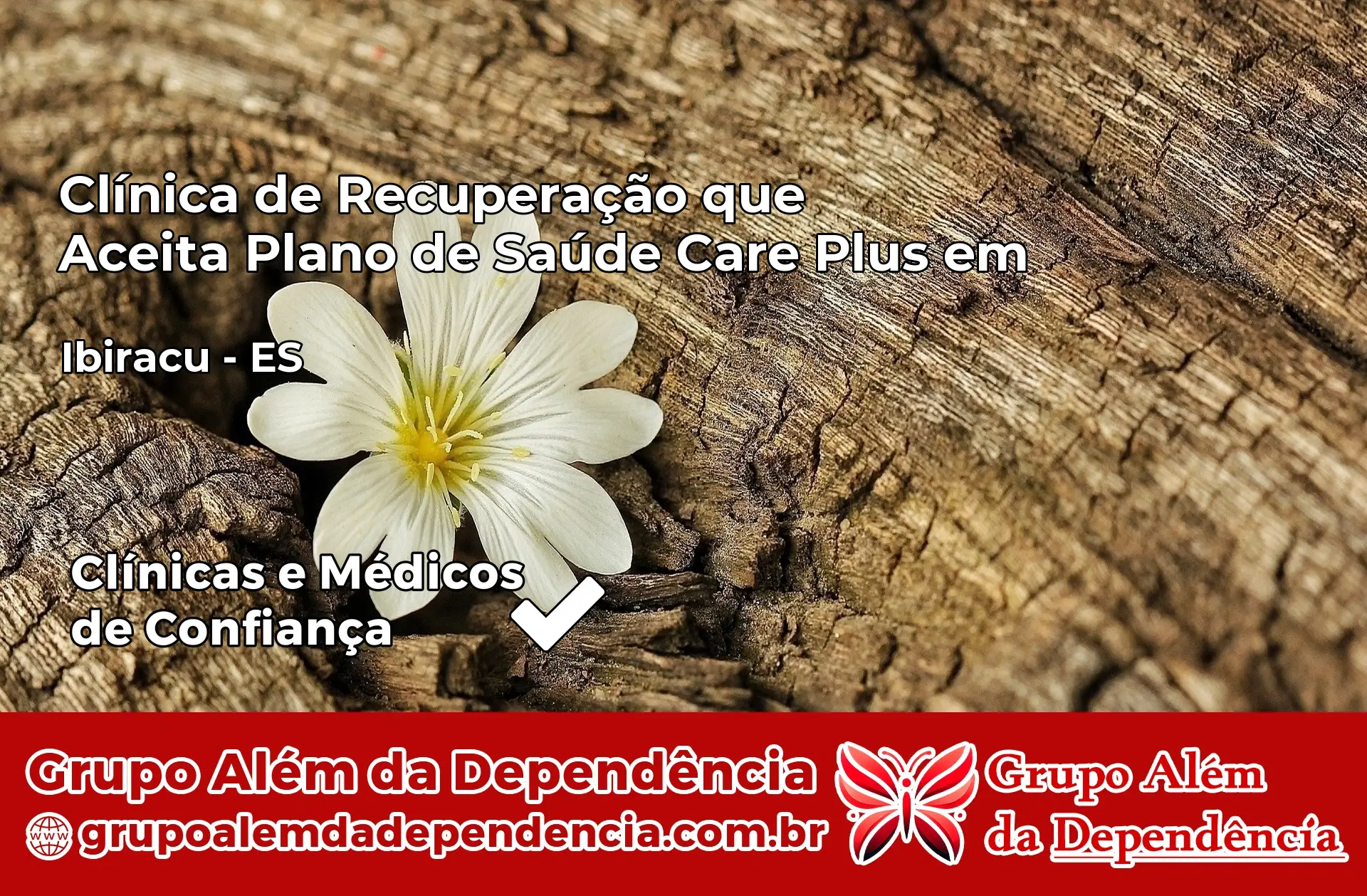 Clínica Care Plus em Ibiraçu – ES