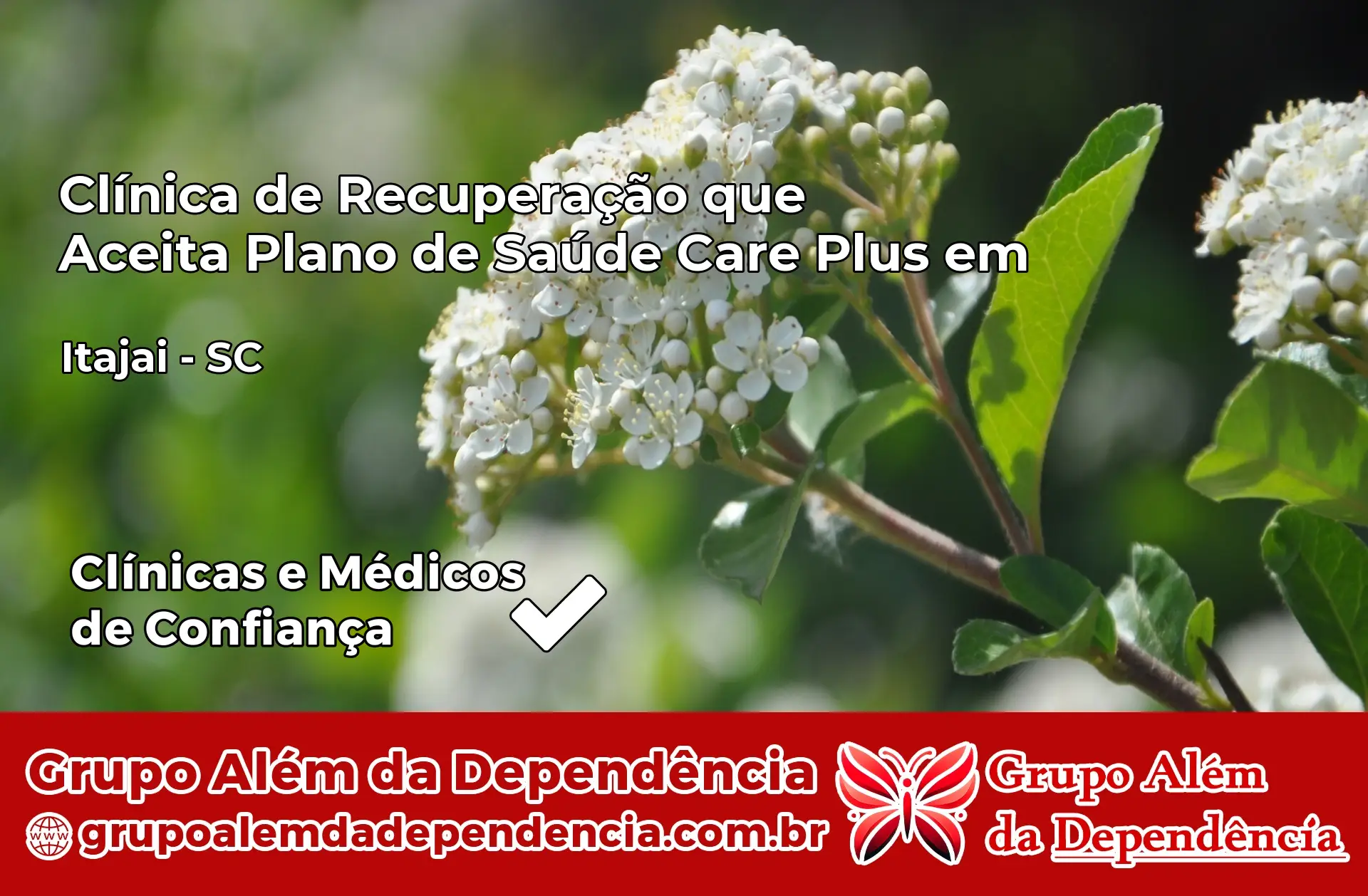 Clínica Care Plus em Itajaí – SC