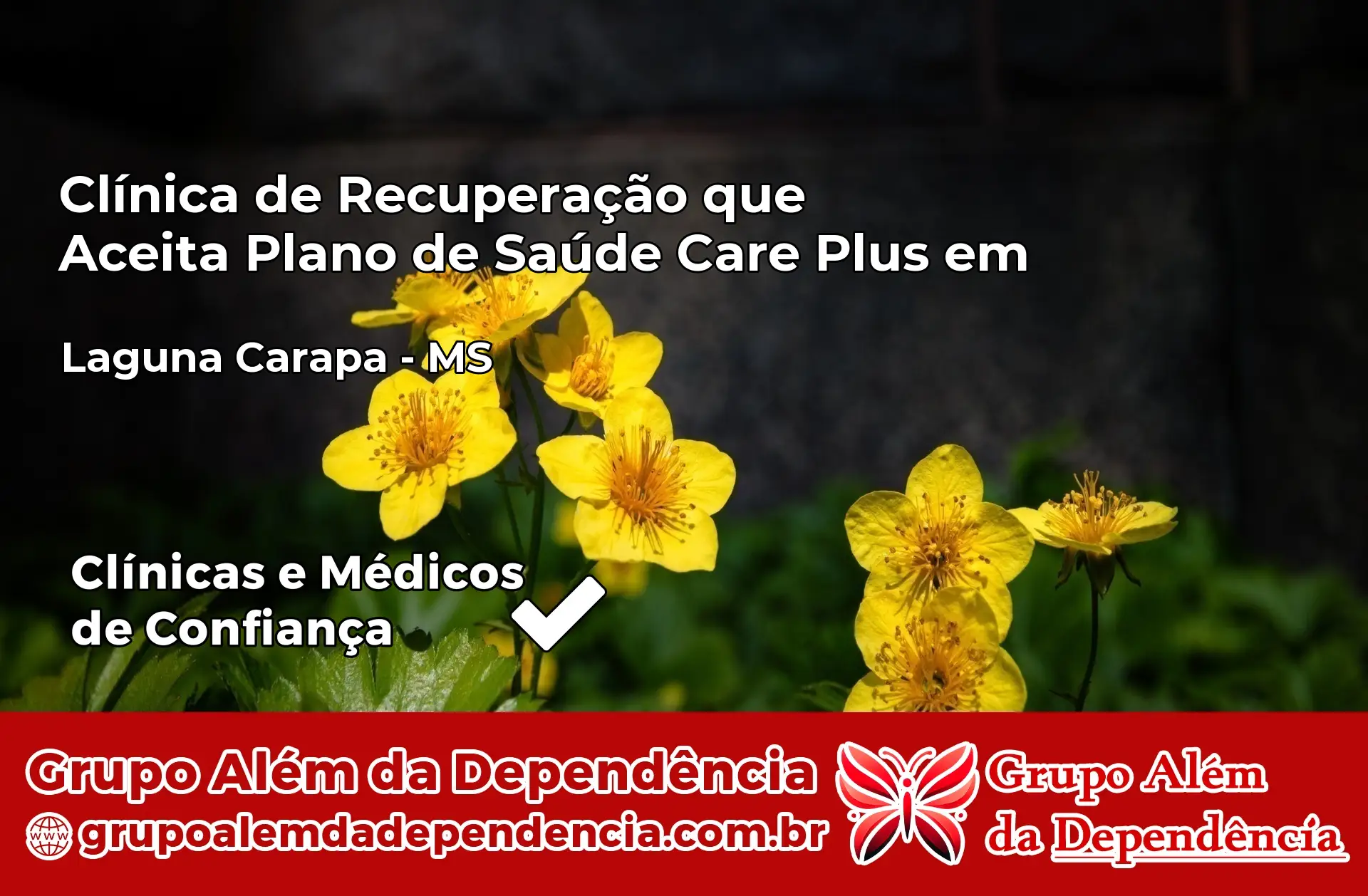 Clínica Care Plus em Laguna Carapã – MS