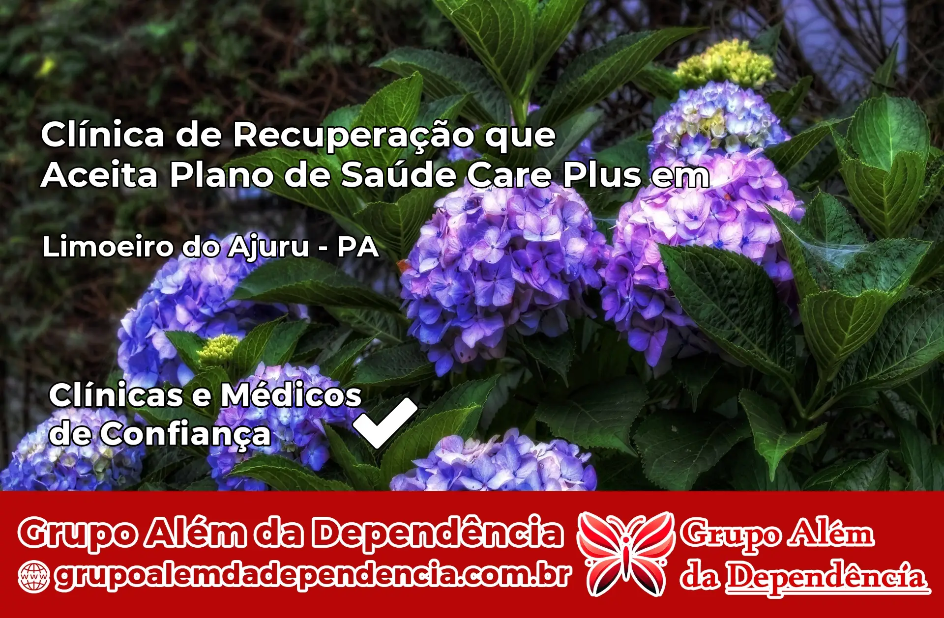 Clínica Care Plus em Limoeiro do Ajuru – PA