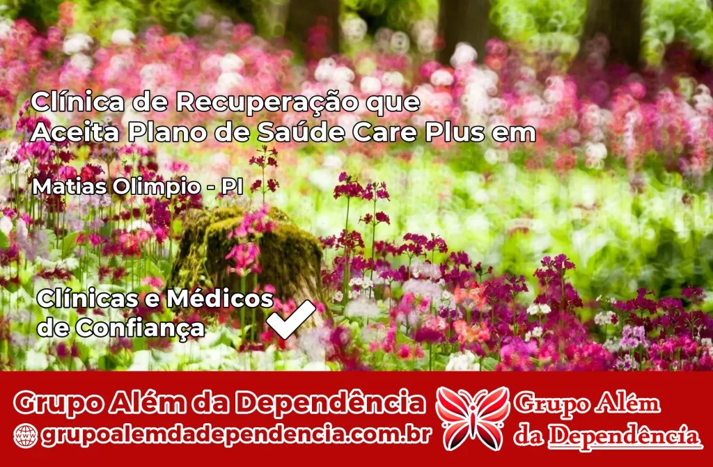 Clínica de Recuperação que Aceita Plano de Saúde Care Plus em Matias Olímpio – PI 1 Clínica Care Plus em Matias Olímpio – PI