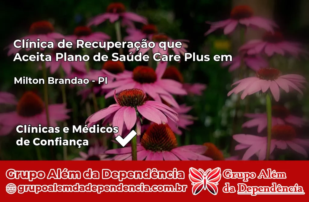 Clínica de Recuperação que Aceita Plano de Saúde Care Plus em Milton Brandão – PI 1 Clínica Care Plus em Milton Brandão – PI