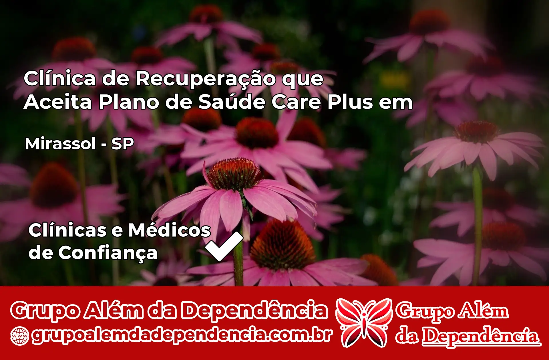Clínica Care Plus em Mirassol – SP