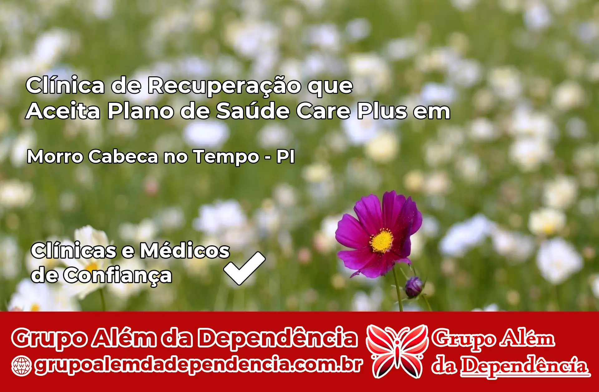 Clínica Care Plus em Morro Cabeça no Tempo – PI