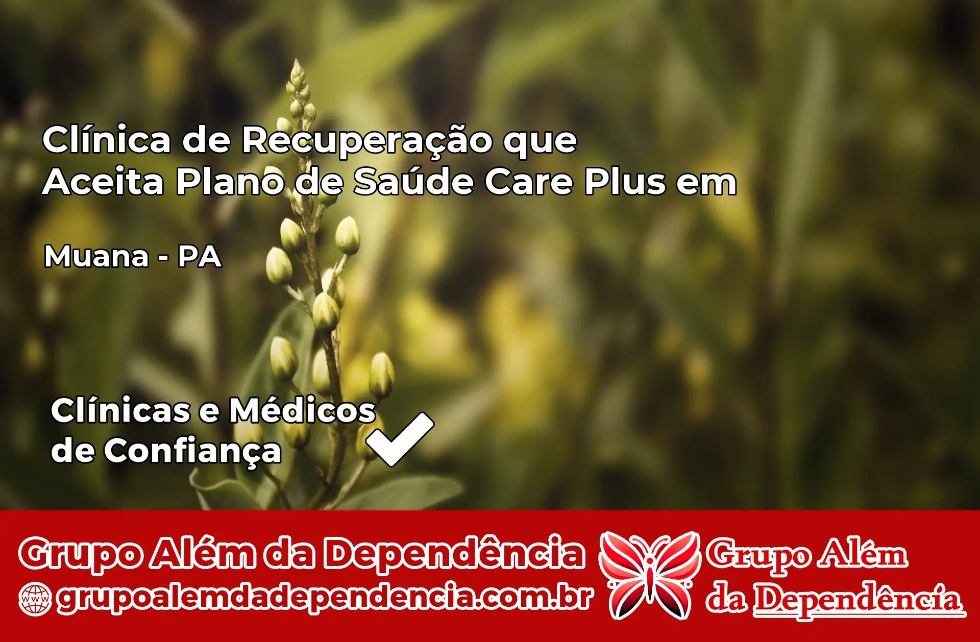Clínica Care Plus em Muaná – PA