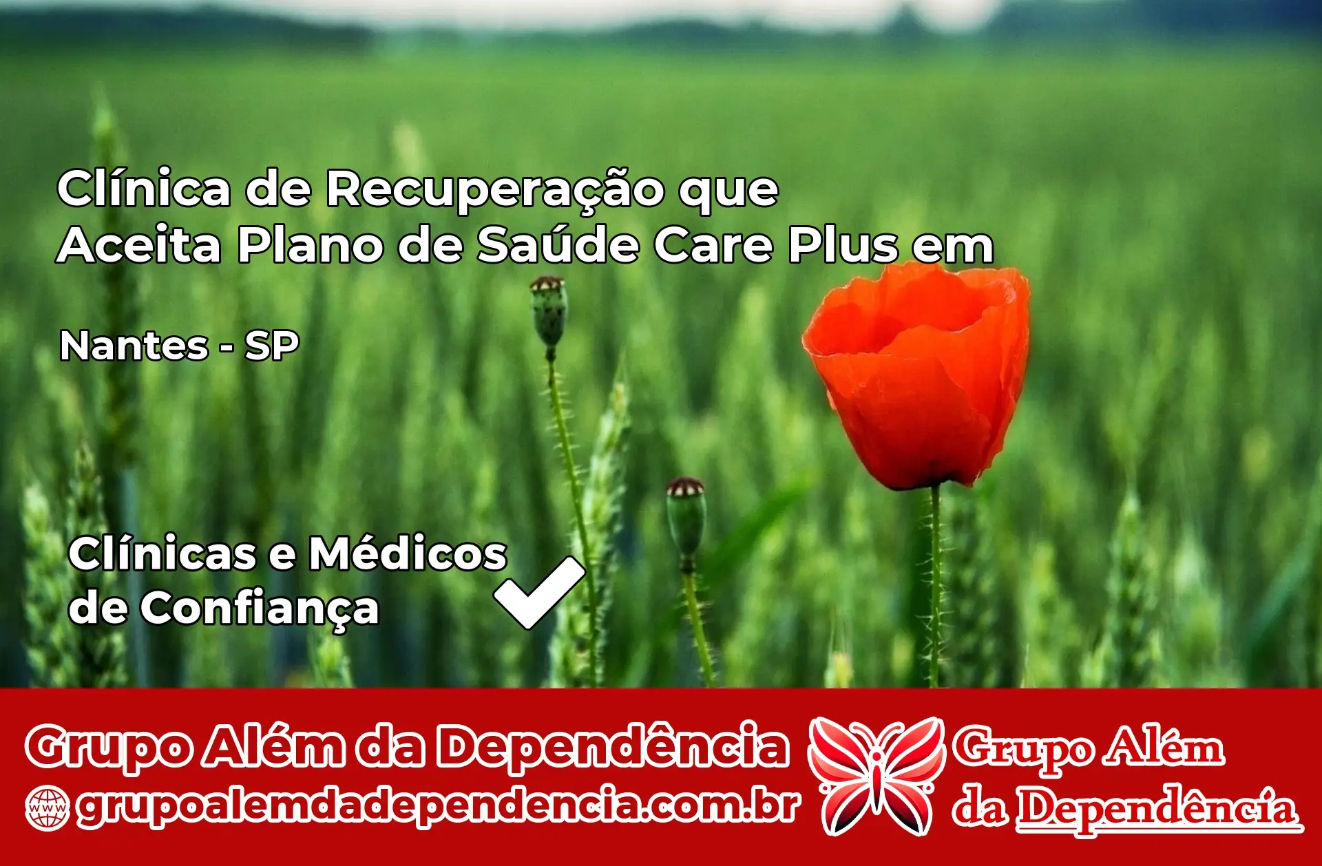 Clínica Care Plus em Nantes – SP