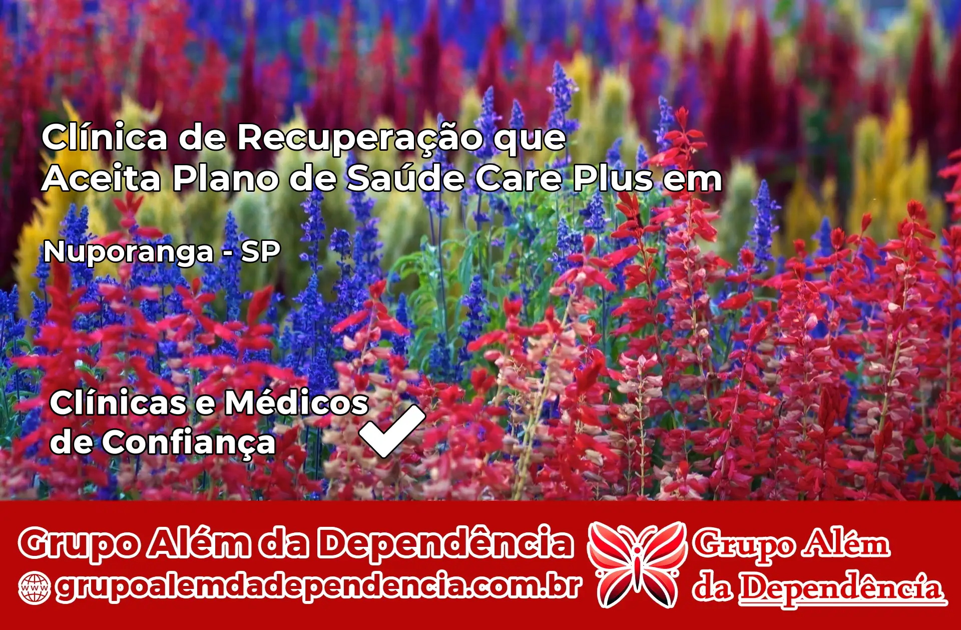 Clínica Care Plus em Nuporanga – SP