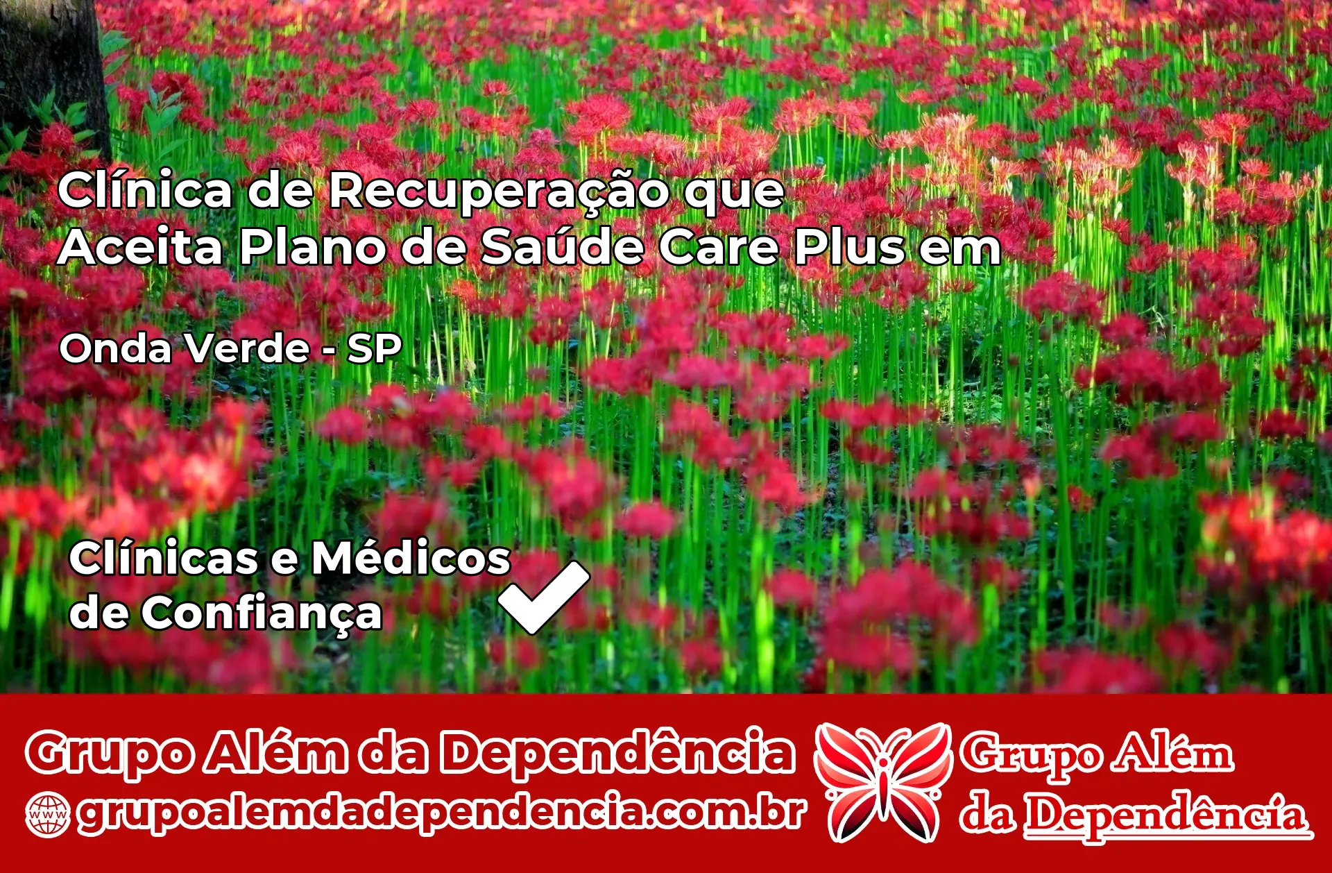 Clínica Care Plus em Onda Verde – SP