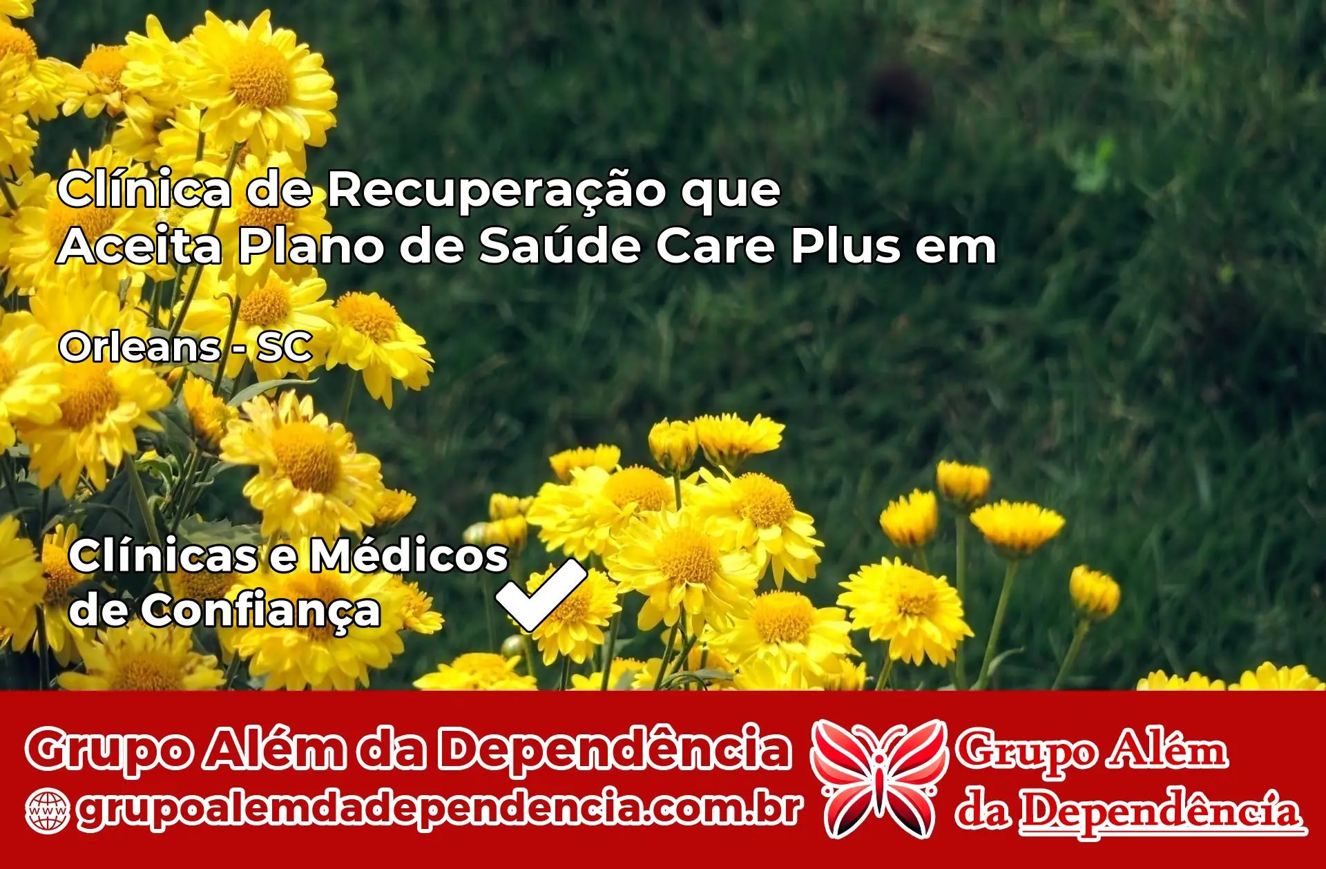 Clínica Care Plus em Orleans – SC