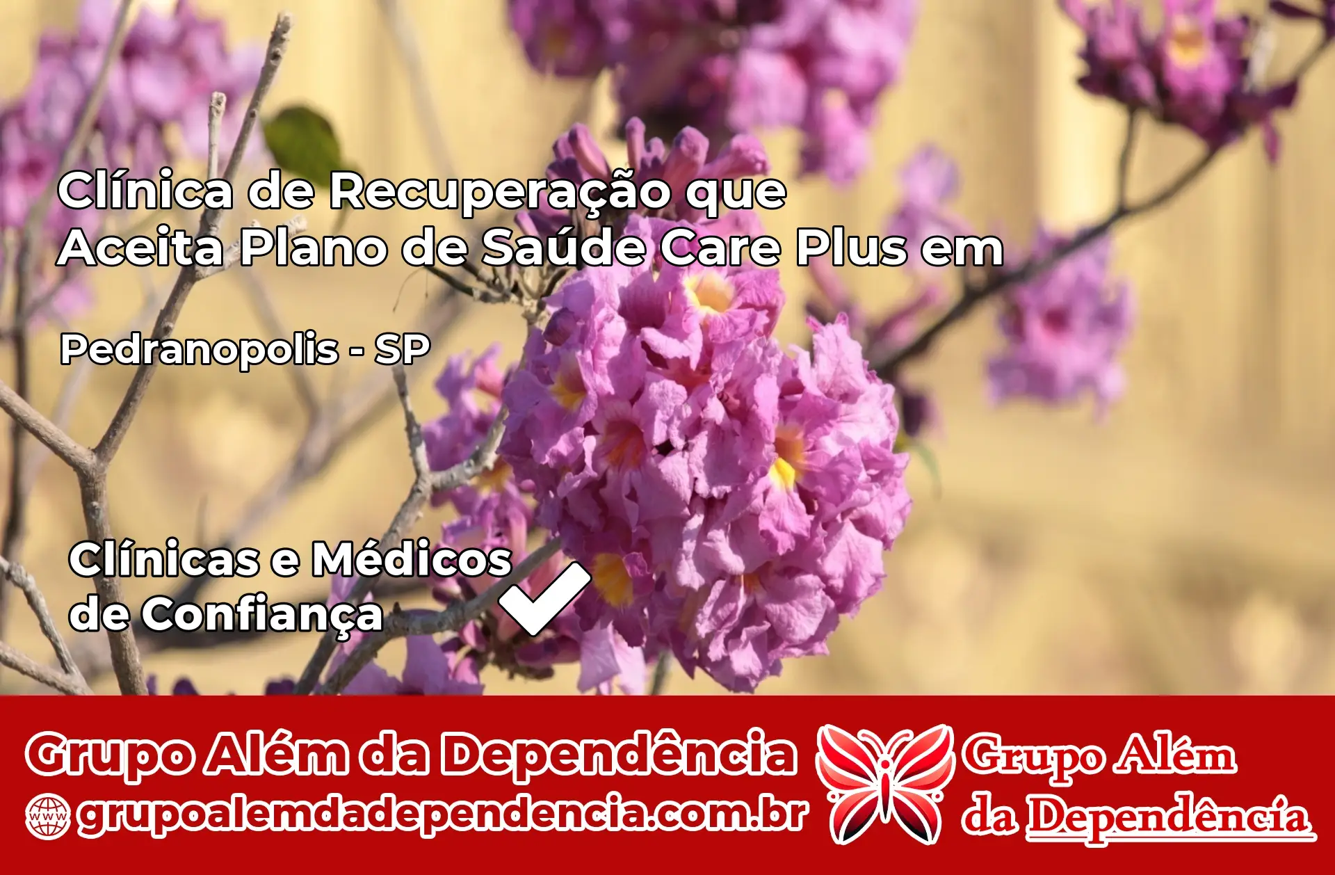 Clínica Care Plus em Pedranópolis – SP