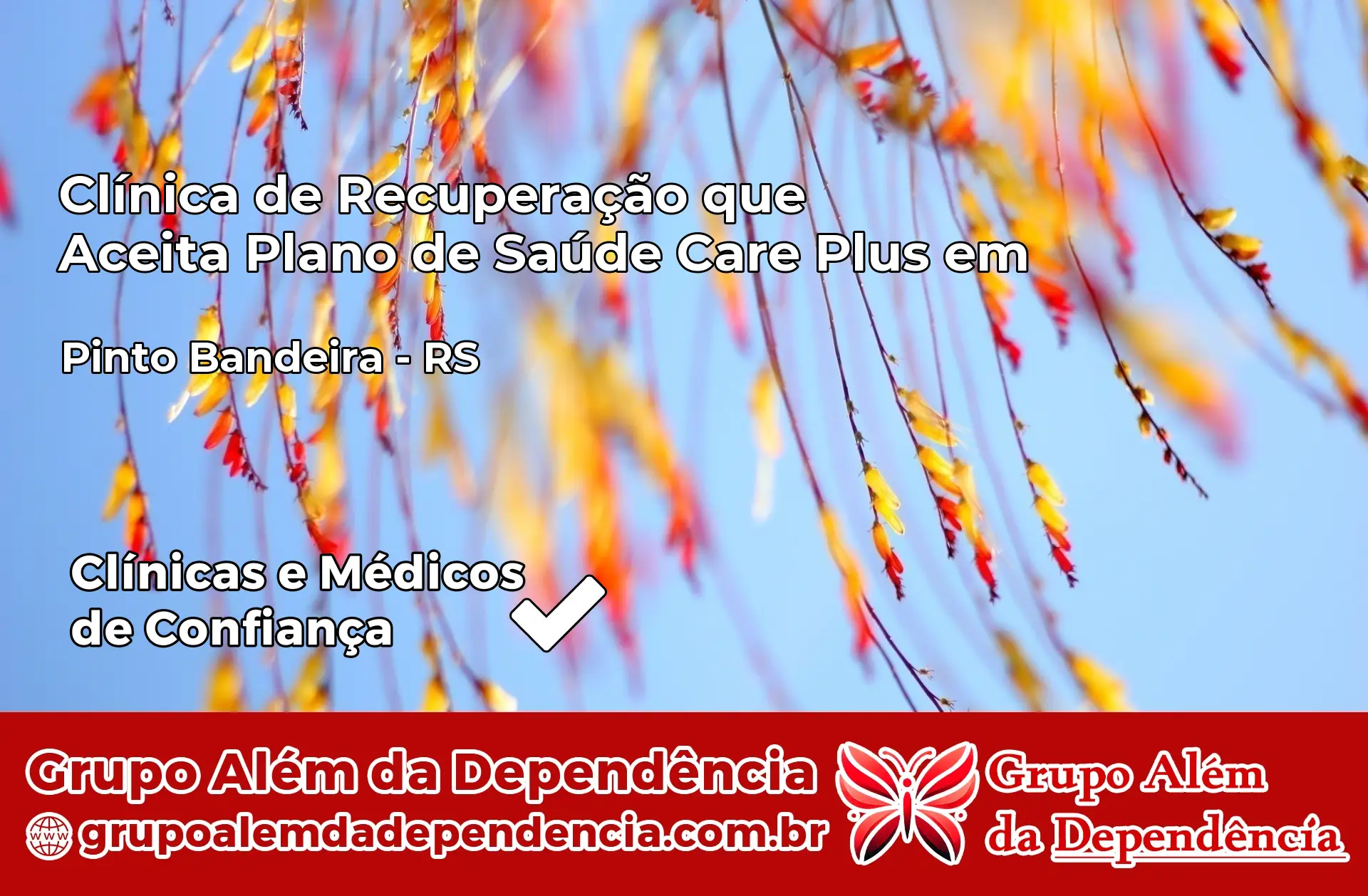 Clínica Care Plus em Pinto Bandeira – RS