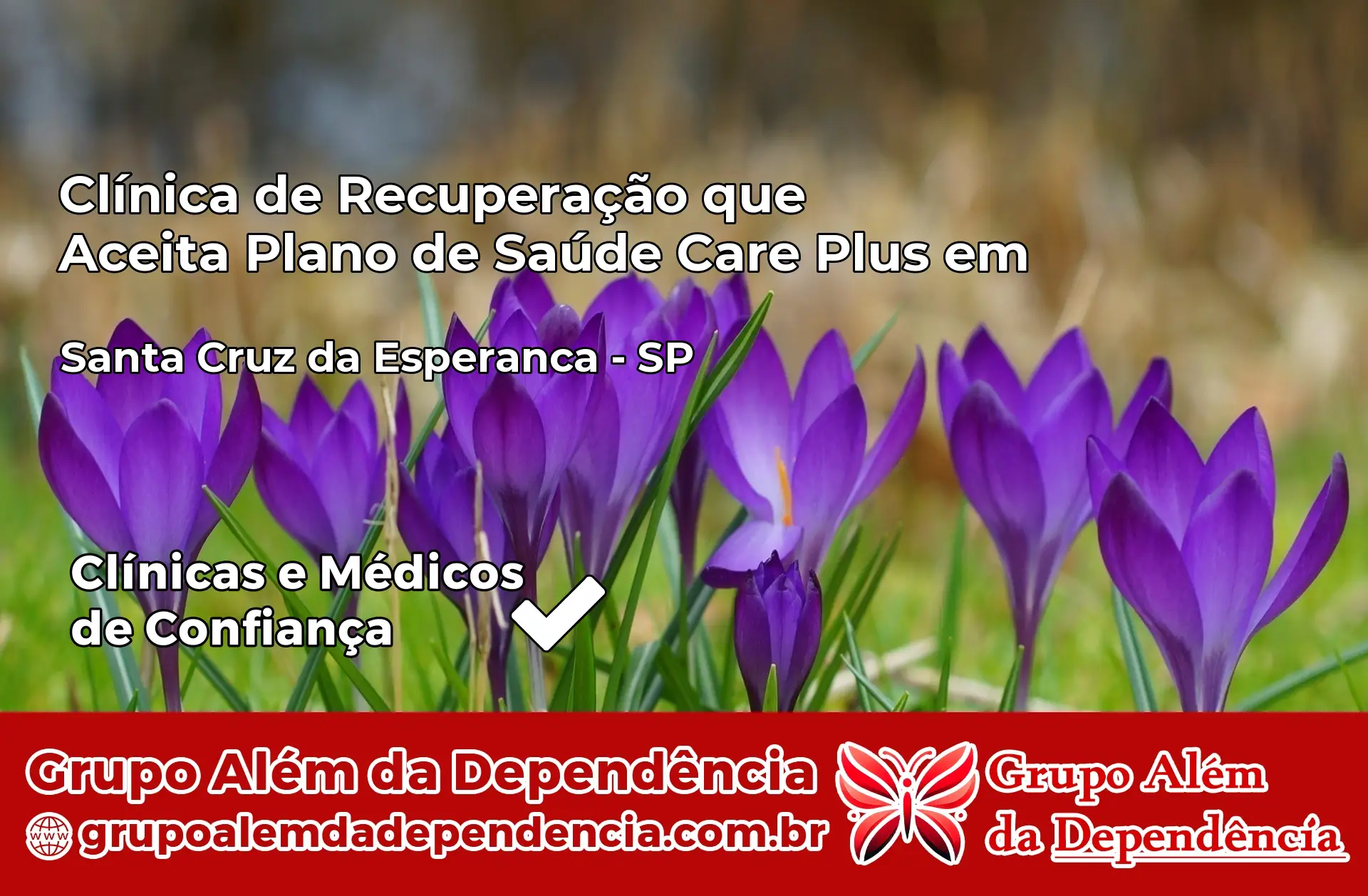 Clínica Care Plus em Santa Cruz da Esperança – SP