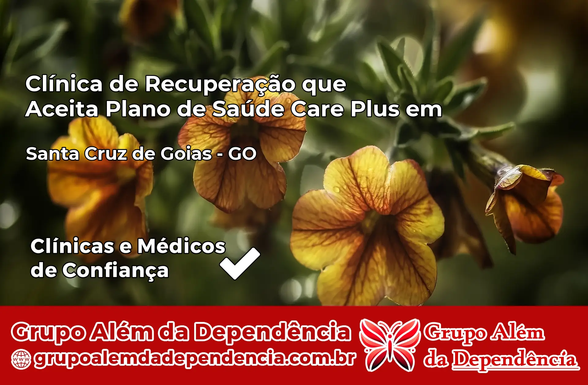 Clínica Care Plus em Santa Cruz de Goiás – GO